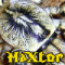 Maxtor