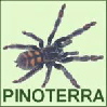 Awatar Pinoterra