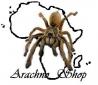 Awatar Arachno_Board